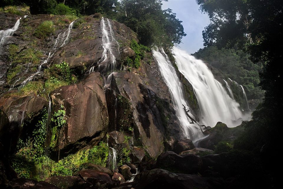 Cachoeira na mata de Bertioga