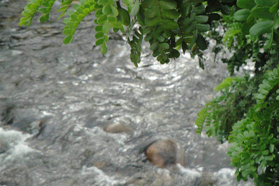 Rio entre pedras e mata em Cachoeiras de Macacu