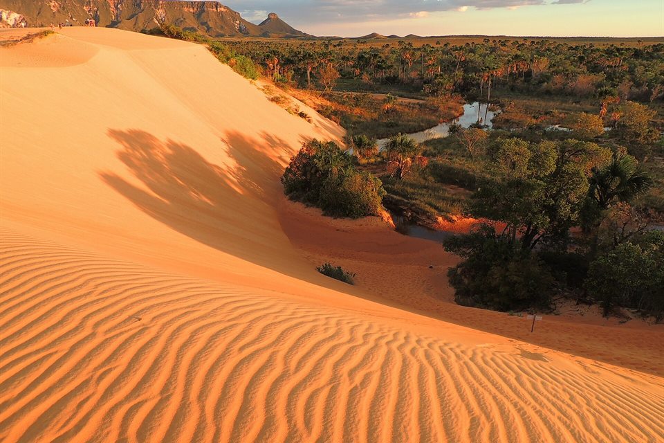 Dunas douradas do Jalapão