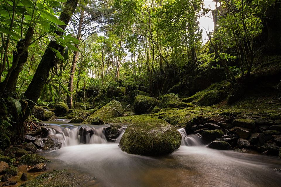 Rio e mata na Vila da Maromba
